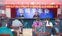 涡阳新闻爆料,揭秘涡阳最新动态，聚焦民生热点事件