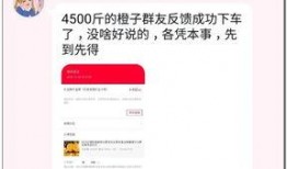 西安网红b站爆料视频,网红打卡地背后的故事